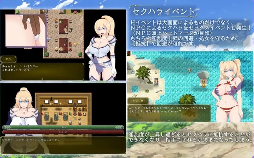 【PC/AI汉化/日式/RPG游戏/3.0G】 塞拉&诺艾尔～被囚公主的去向～  Ver3.00 润色AI汉化版+全回想存档+步兵补丁+日式RPG游戏+3.0G
