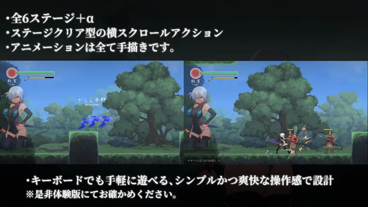 新作[探索ACT/虫X/虐待] 复仇的夜雾 復讐の夜霧 v1.0.1 官中版 [450M]